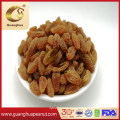 Hot Sale Best Quality Natural Dried Frame Raisin